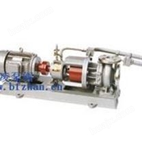 磁力泵:MT-HTP型高温磁力泵 