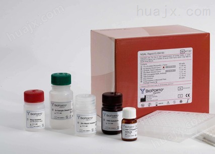 人Ⅳ型胶原（Col Ⅳ）ELISA试剂盒