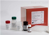 大鼠游离前列腺特异性抗原（fPSA）ELISA试剂盒